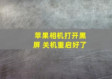 苹果相机打开黑屏 关机重启好了